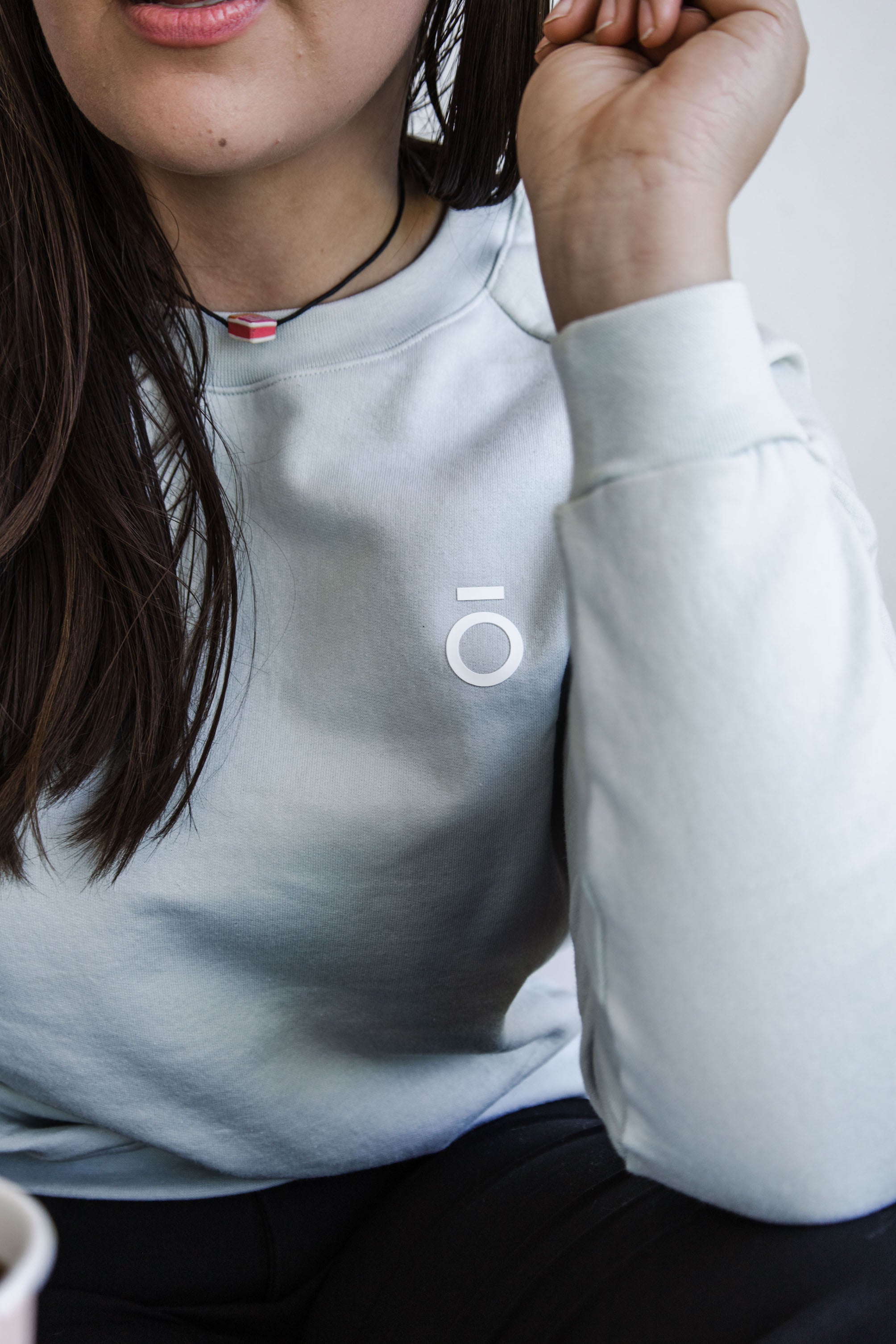 Ladies Sweater - Sage