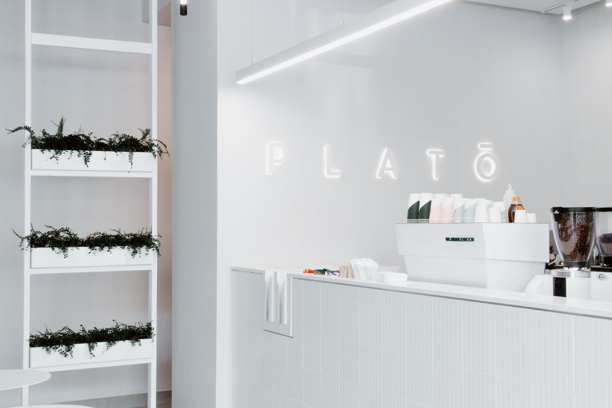OUR MENU | Platō Coffee
